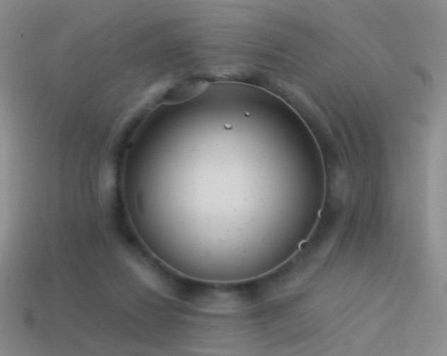 X0000114510260200910191139