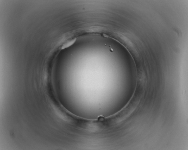 X0000114510261200910191139