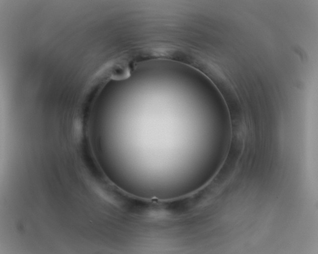 X0000114510262200910191139