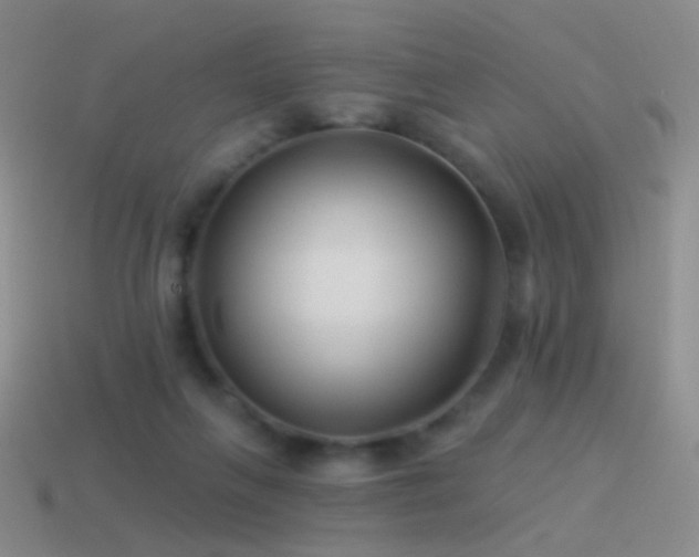 X0000114510263200910191139