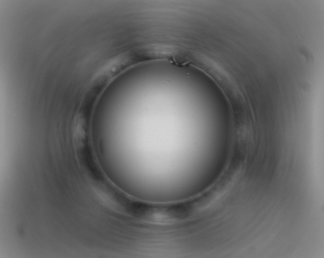 X0000114510264200910191139