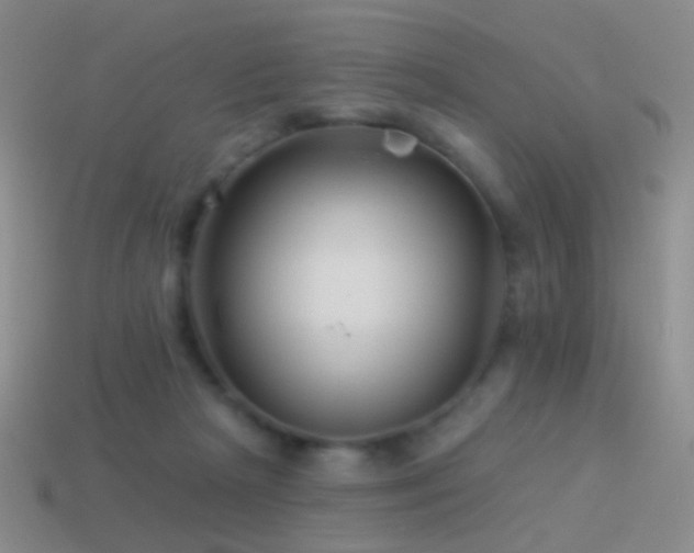 X0000114510265200910191139