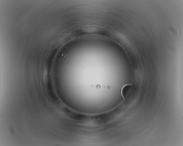 X0000114510267200910191139