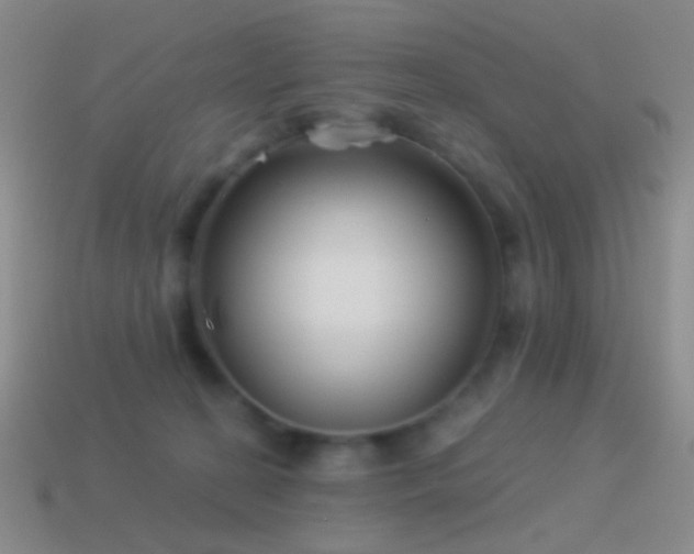 X0000114510274200910191139