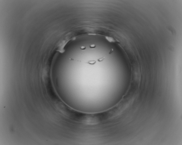 X0000114510275200910191139