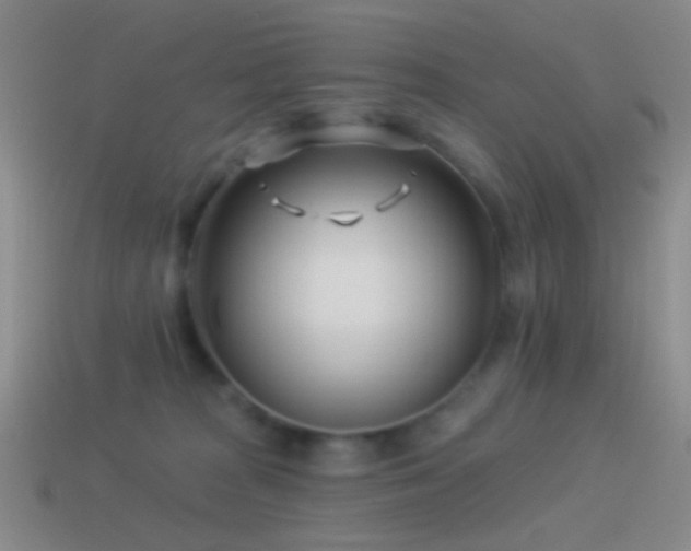 X0000114510277200910191139