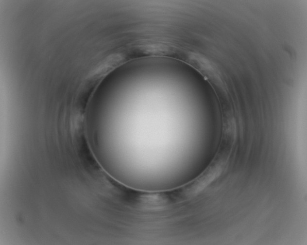 X0000114510281200910191140