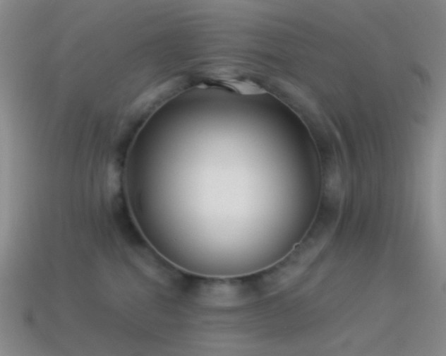 X0000114510282200910191140