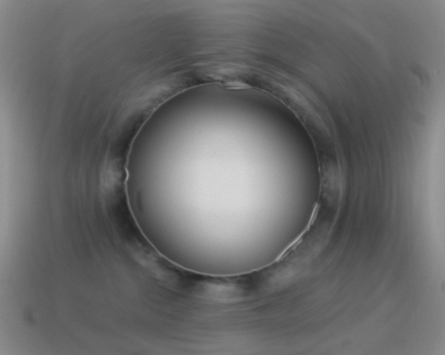 X0000114510284200910191140