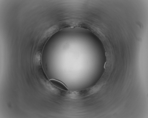 X0000114510288200910191140