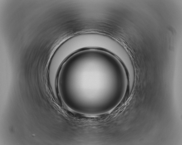 X0000114510289200910191139