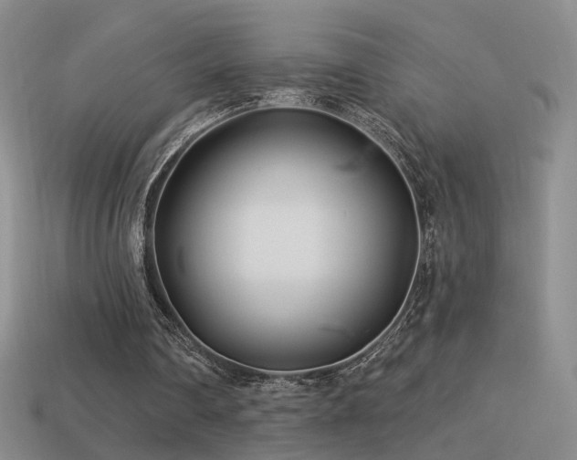 X0000114510290200910191139