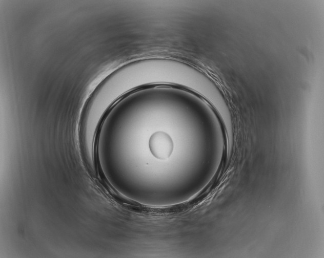 X0000114510292200910191139