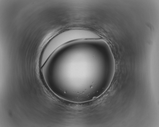 X0000114510293200910191139