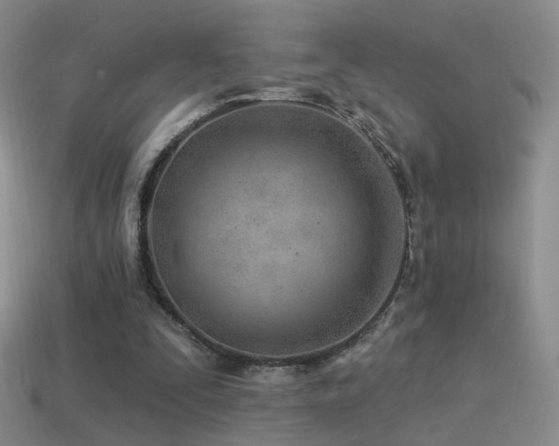 X0000114510295200910191139