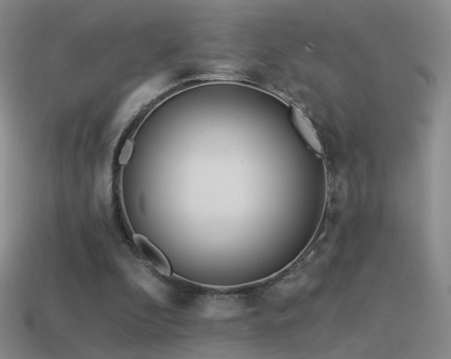 X0000114510296200910191139