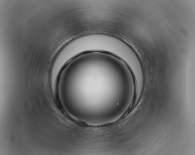 X0000114510297200910191139