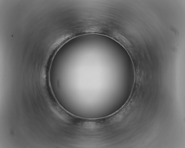 X0000114510298200910191139