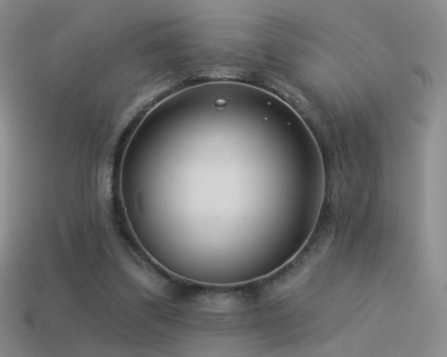 X0000114510299200910191139