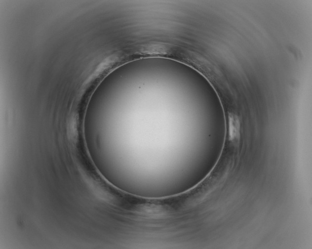 X0000114510300200910191139