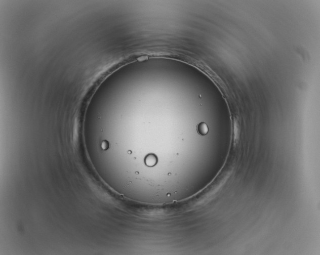 X0000114510301200910191139