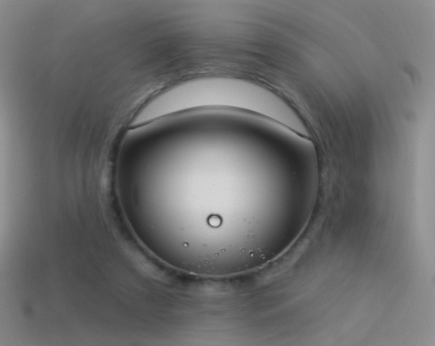 X0000114510305200910191139