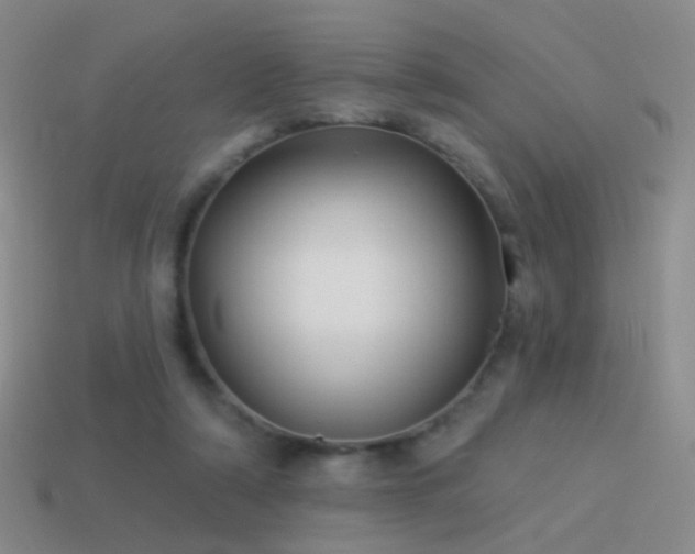 X0000114510306200910191139