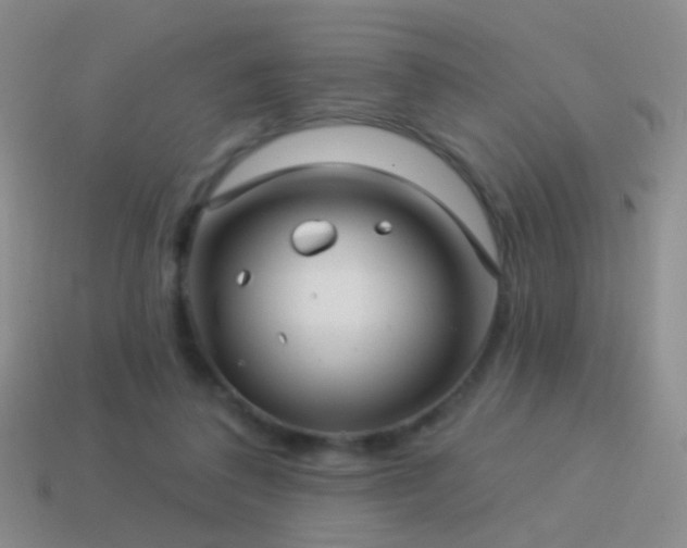 X0000114510308200910191139