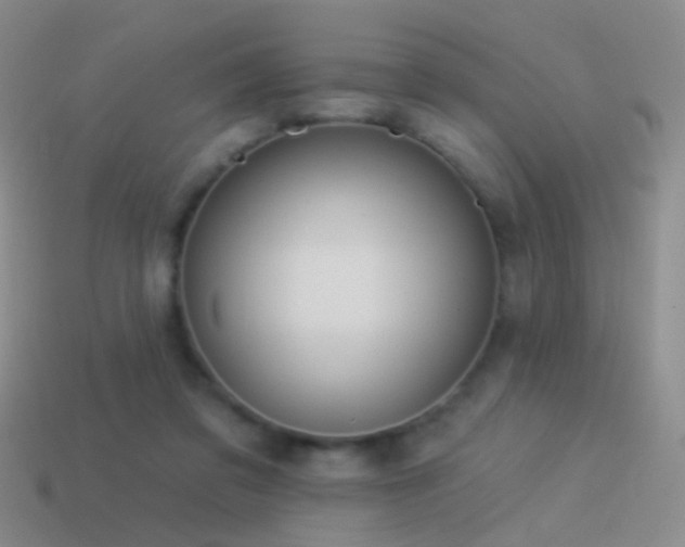 X0000114510309200910191139