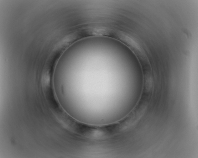 X0000114510310200910191139