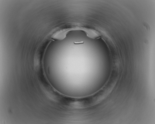 X0000114510312200910191139