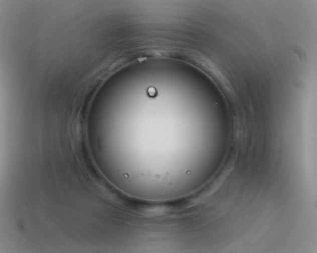 X0000114510313200910191139