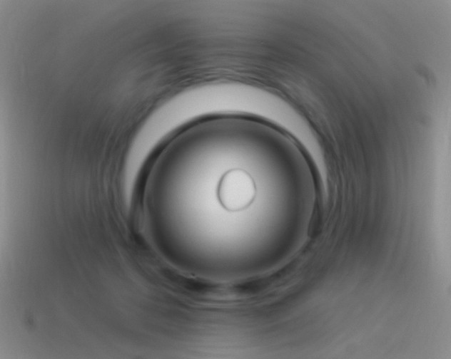 X0000114510316200910191139