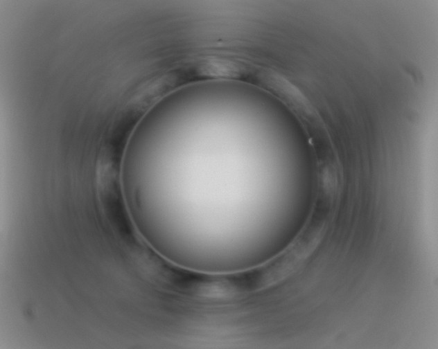 X0000114510322200910191139