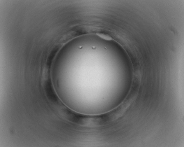 X0000114510323200910191139