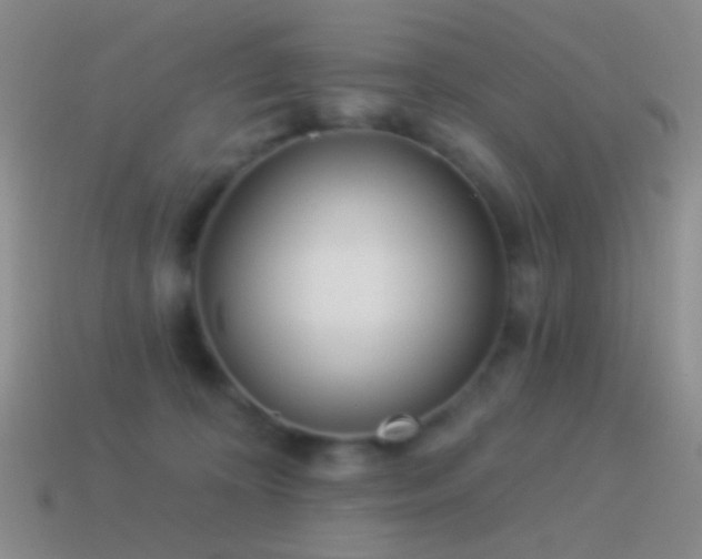 X0000114510324200910191139