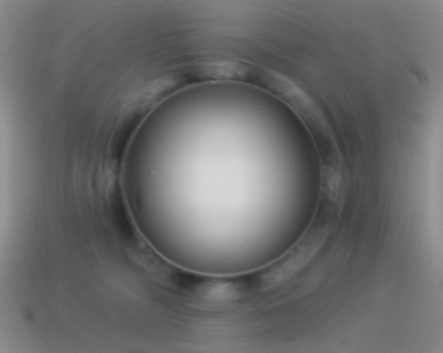 X0000114510326200910191139