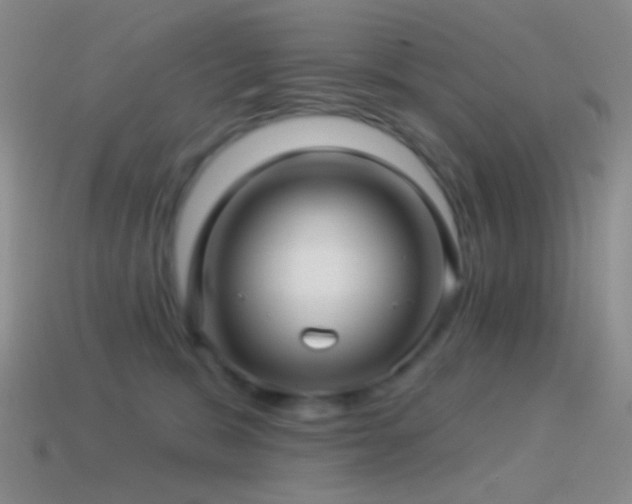 X0000114510327200910191139