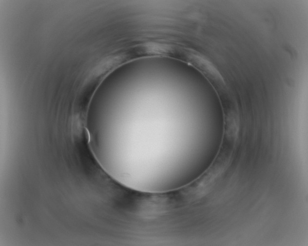 X0000114510329200910191138