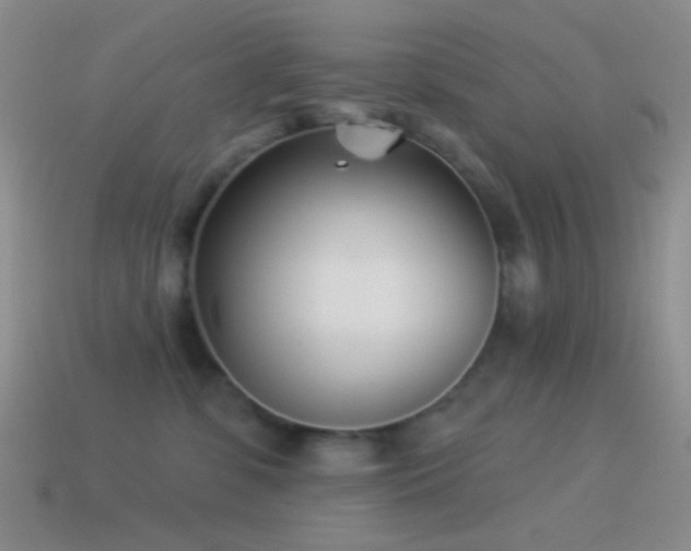 X0000114510331200910191138