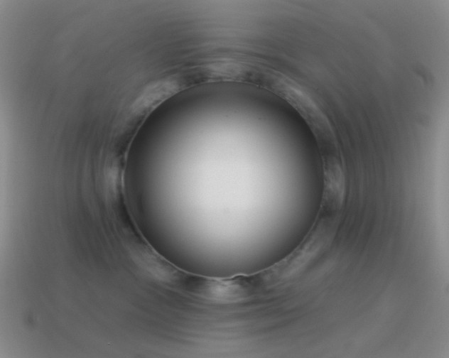 X0000114510333200910191138