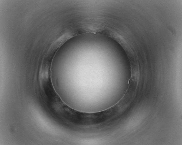 X0000114510334200910191138