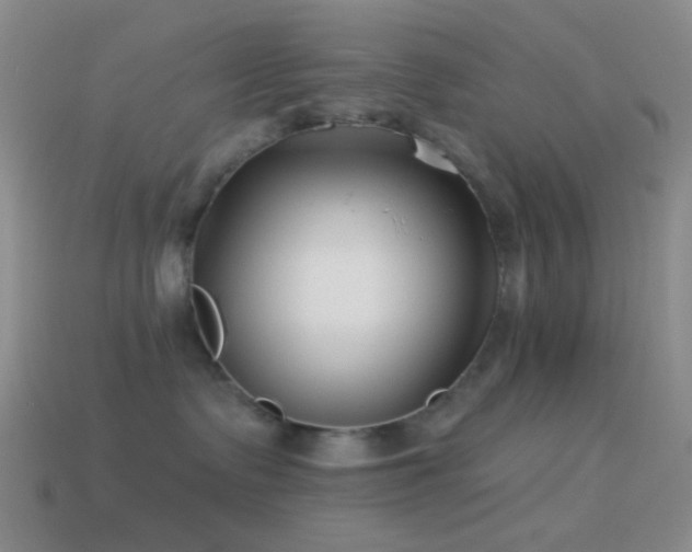 X0000114510335200910191138