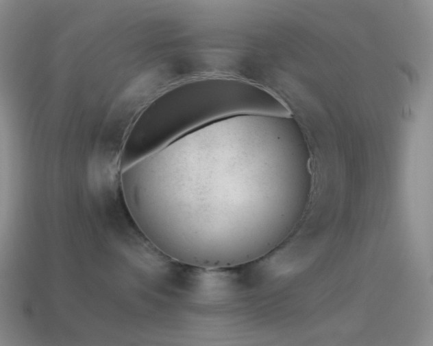 X0000114510336200910191138