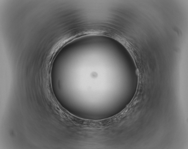 X0000114510337200910191138