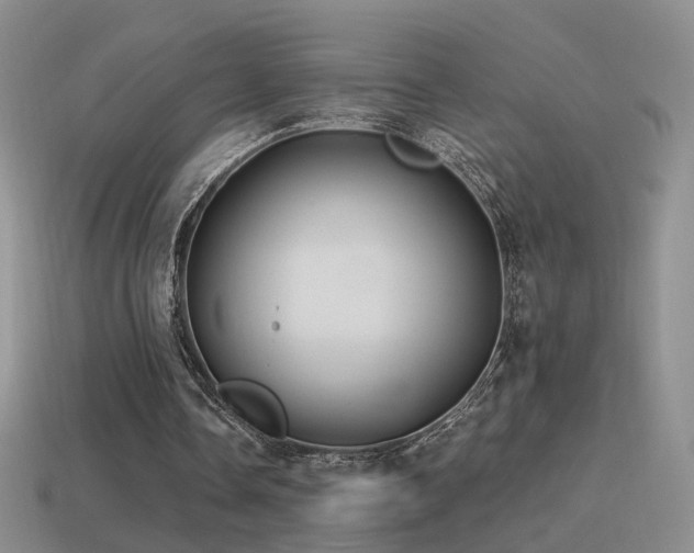 X0000114510338200910191138