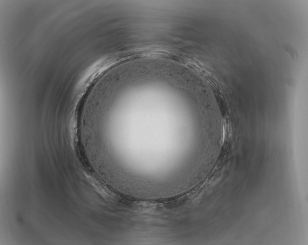 X0000114510339200910191138