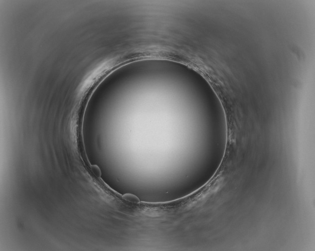 X0000114510341200910191138