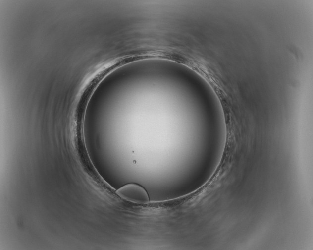 X0000114510342200910191138