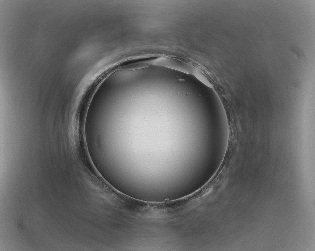 X0000114510343200910191138